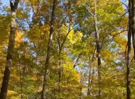 Dingmans Campground