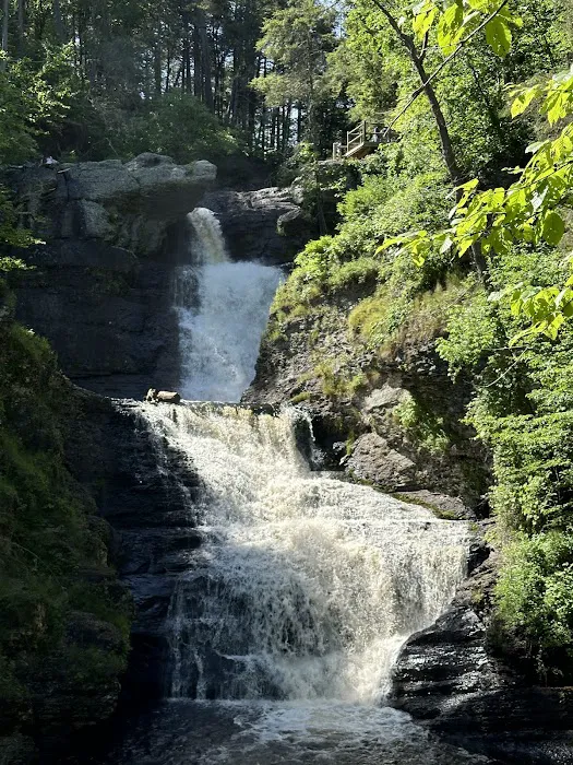 Dingmans Campground Picture 6