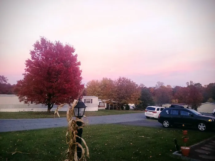 Mountain View - PA Picture 9