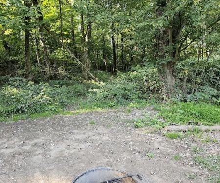 National Park Service - Delaware River - Jerry Lees - Campsites # 33-34