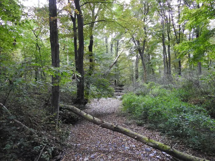National Park Service - Delaware River - Jerry Lees - Campsites # 33-34 Picture 5