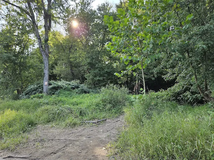 National Park Service - Delaware River - Jerry Lees - Campsites # 33-34 Picture 7