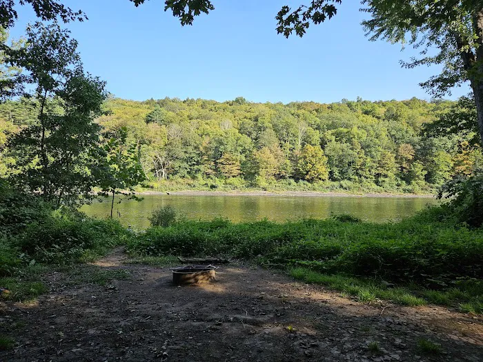 National Park Service - Delaware River - Jerry Lees - Campsites # 33-34 Picture 8