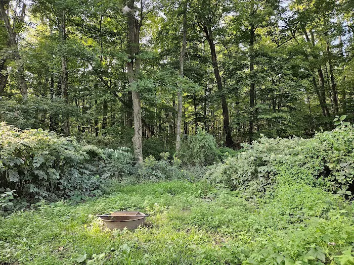 National Park Service - Delaware River - Jerry Lees - Campsites # 33-34 Picture 10