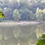 MC-2 River Campsite