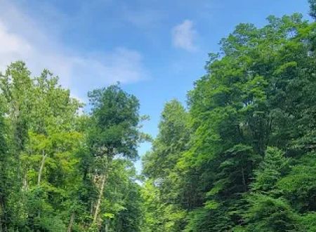 River Bend Group Campground