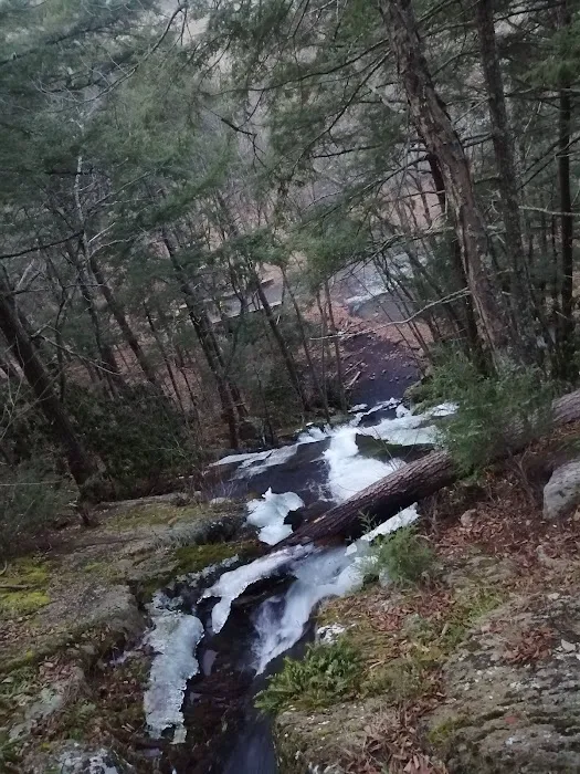 River Bend Group Campground Picture 7