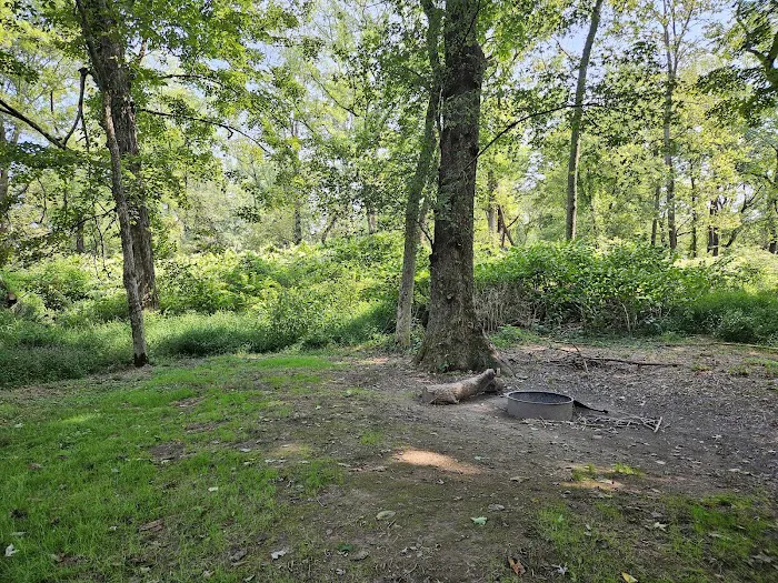 National Park Service - Delaware River - Ratcliffs - Campsites # 52-54 Picture 10