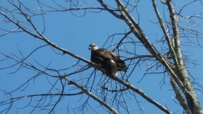 Oakland Valley Campground Picture 6