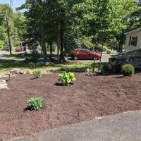 Bluestone Acres ico