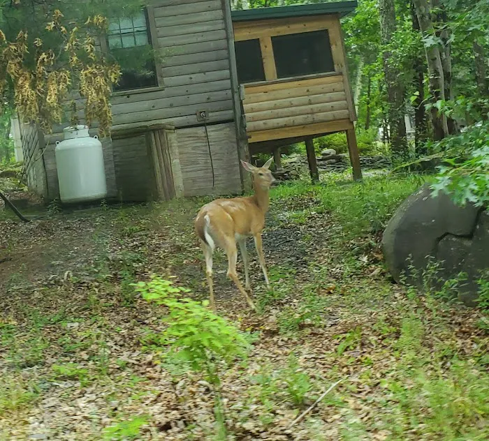 Trails End Campground Picture 4