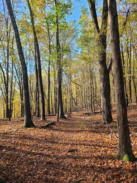 Winding Hills Park Picture 3