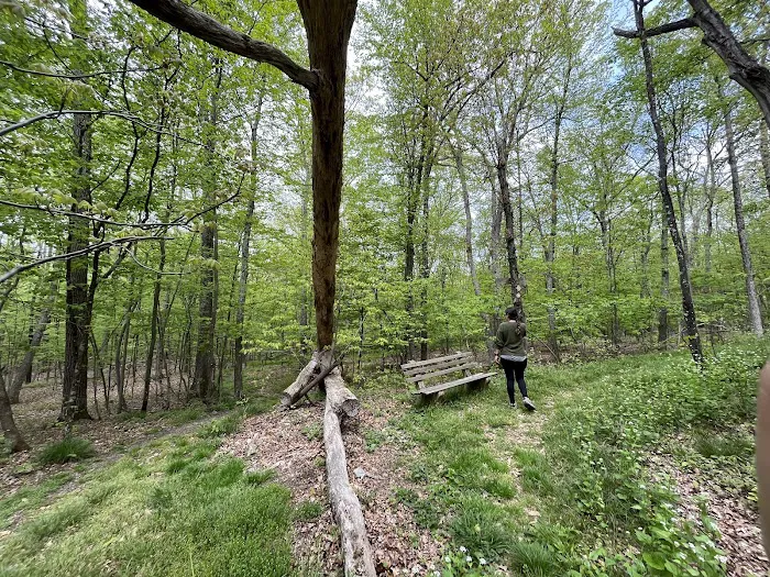 Winding Hills Park Picture 5