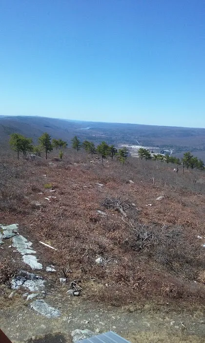 Land & Forest Department Picture 3