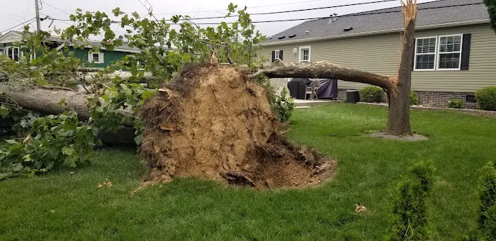 Penn Valley Terrace Picture 4