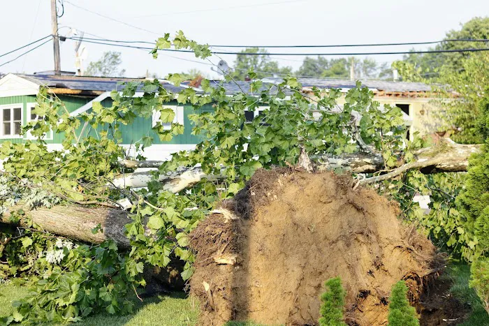Penn Valley Terrace Picture 9