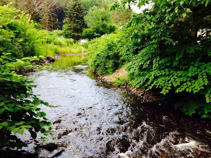 Spring Glen Campgrounds Inc Picture 1