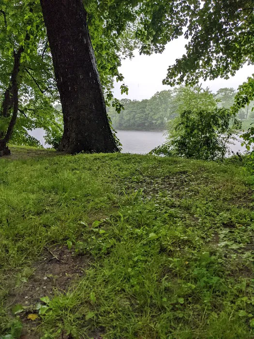 Worthington State Forest Campground Picture 6