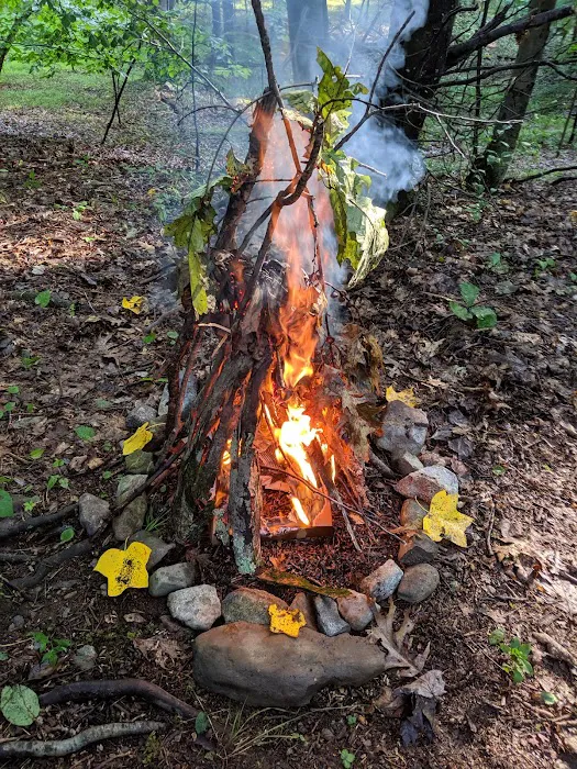 Hickory Lake Campground Picture 5