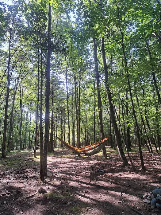 Hickory Lake Campground Picture 7