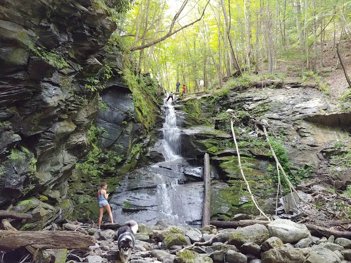 Camp Charles Campgrounds Picture 7