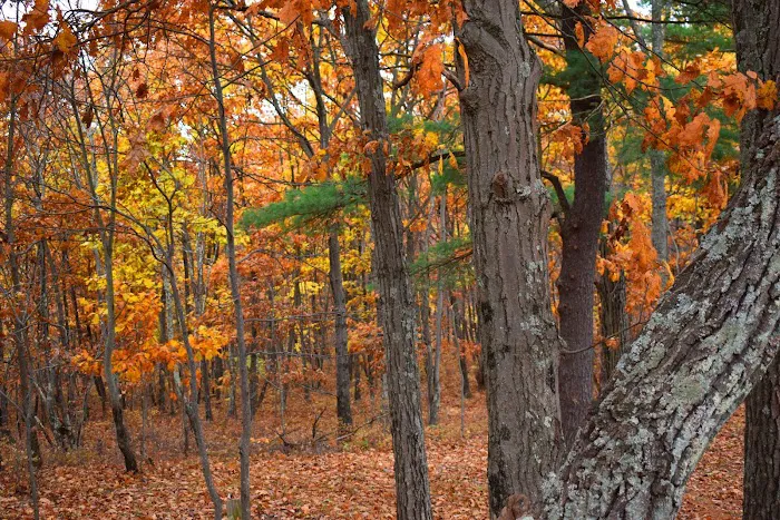 Camp Out Poconos Picture 10