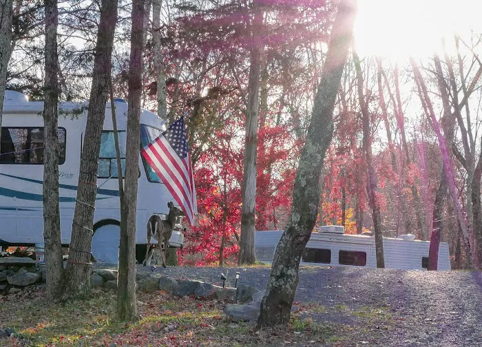 Delaware Water Gap / Pocono Mountain KOA Holiday Picture 6