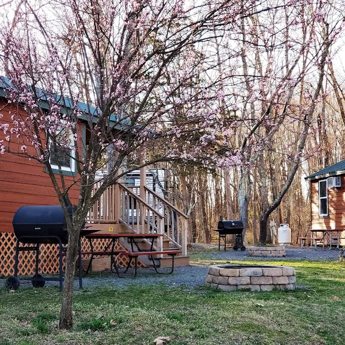 Delaware Water Gap / Pocono Mountain KOA Holiday Picture 10