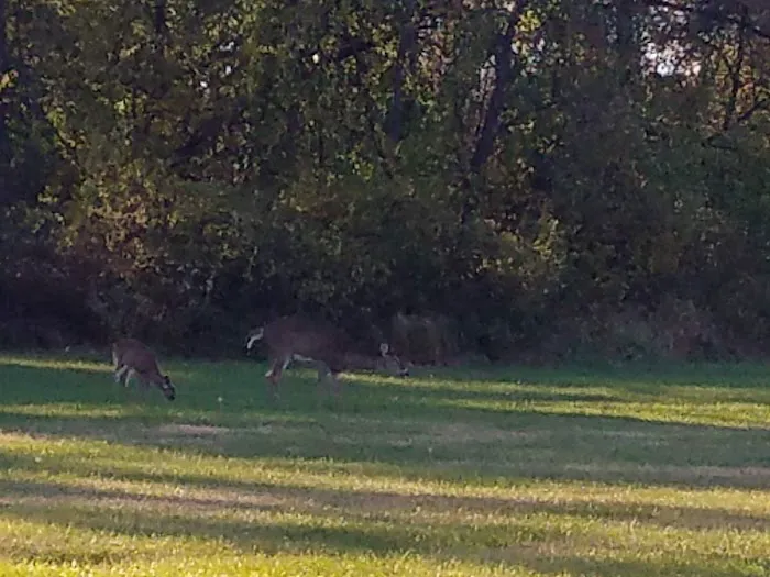 Indian Creek Village Picture 6