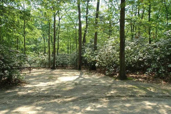 Baker's Acres Campground, Inc. Picture 8