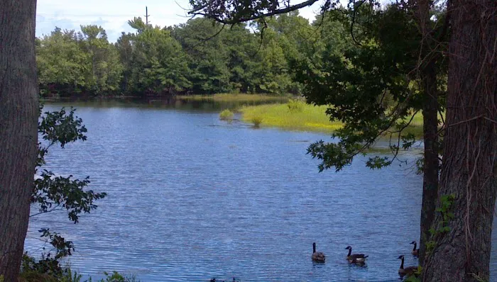 Thousand Trails Chestnut Lake Picture 4