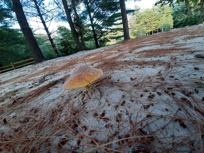 Holly Acres Campground Picture 6