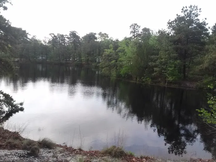 Roamers Beach RV Resort Picture 2