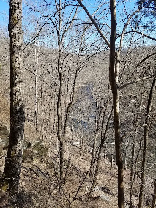 Deer Wood Campground Picture 1
