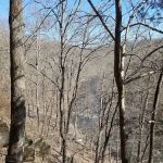 Deer Wood Campground