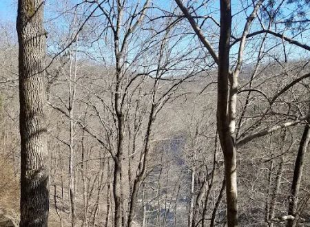 Deer Wood Campground