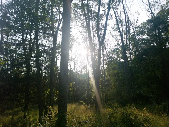Deer Wood Campground Picture 10