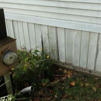 Loring Trailer Park ico