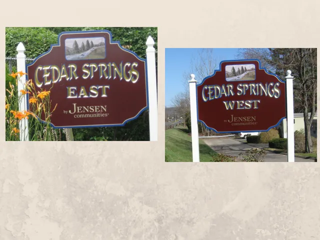 Cedar Springs Picture 3