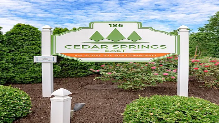 Cedar Springs Picture 1