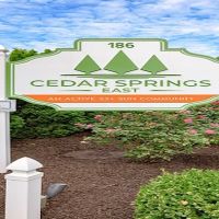 Cedar Springs ico