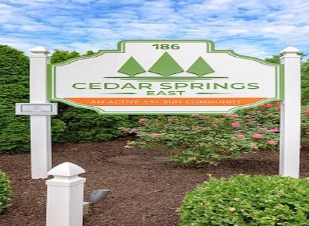 Cedar Springs