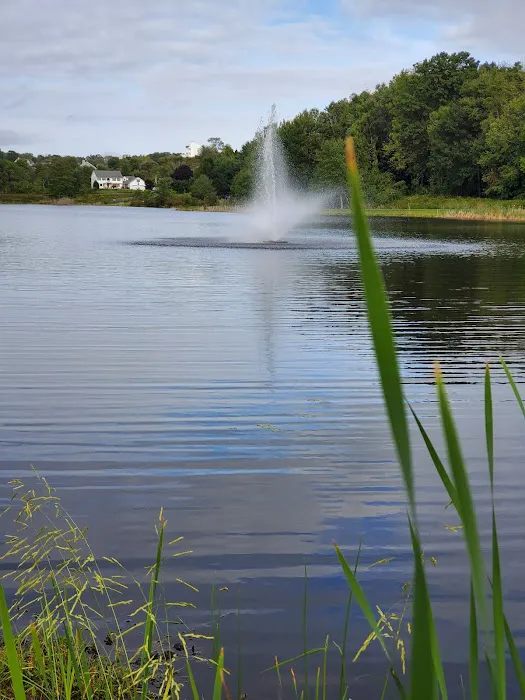 Lakeside Picture 4