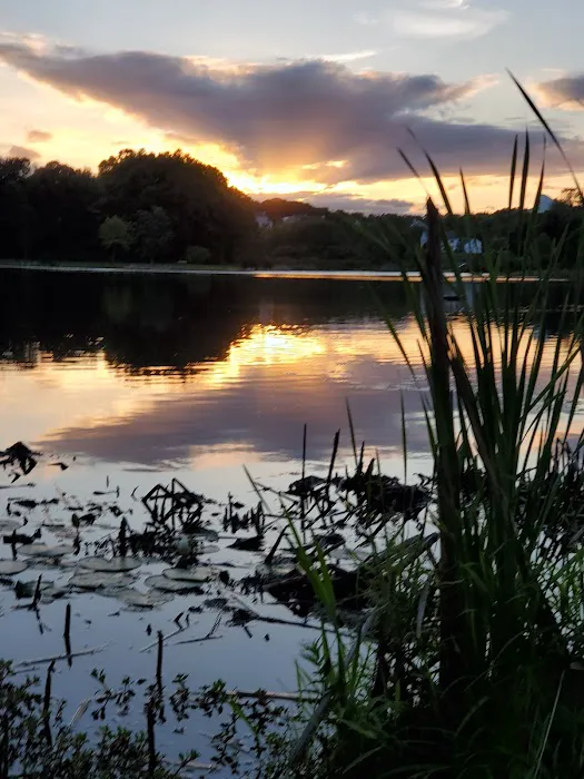 Lakeside Picture 8