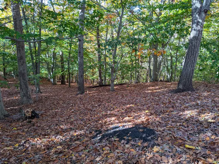 Baiting Hollow Scout Camp- Boy Scouts of America Picture 4