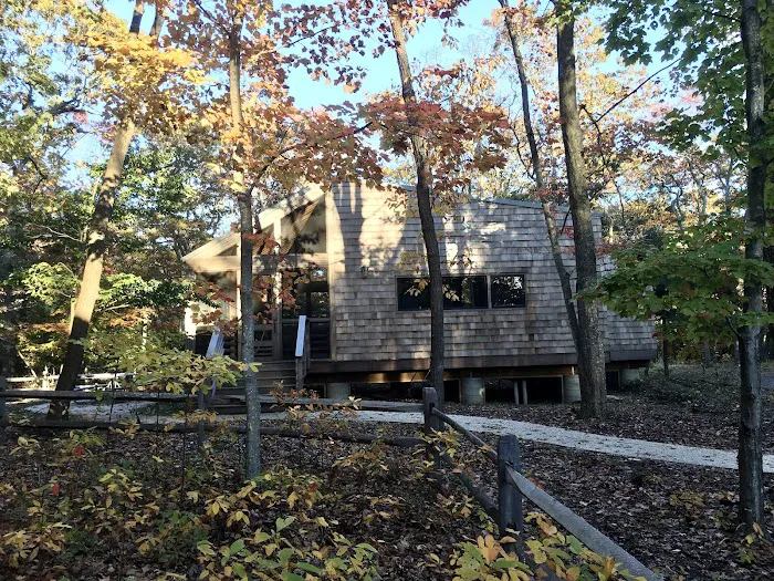 Section A Picture 2
