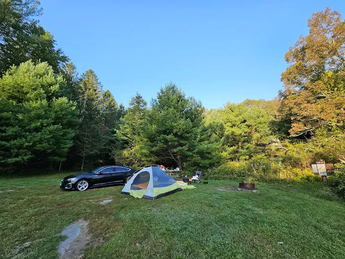 Delaware State Forest campsite #E014 Picture 1