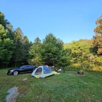 Delaware State Forest campsite #E014 ico