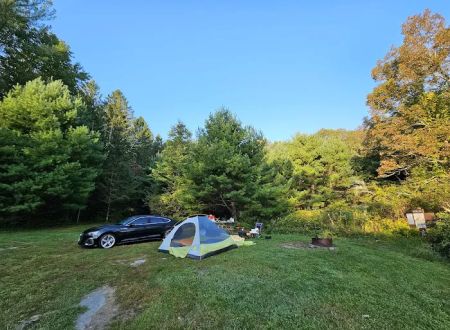 Delaware State Forest campsite #E014
