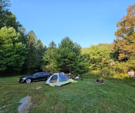 Delaware State Forest campsite #E014